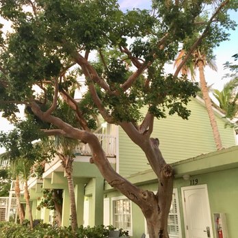 Lime Tree Bay Resort - Resorts Near Me - Long Key, Florida Lime Tree Bay Resort - Resorts Near Me - Long Key, Florida