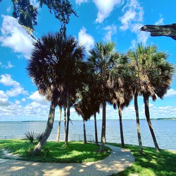 Philippe Park - Parks Near Me - Safety Harbor, Florida Philippe Park - Parks Near Me - Safety Harbor, Florida