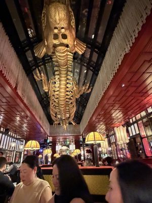 JNcQUOI Asia by null