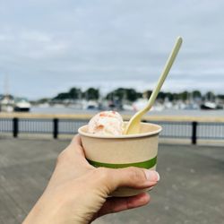 Living the Dream Ice Cream