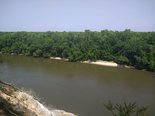 The Nature Conservancy Apalachicola Bluffs and Ravines Preserve (Garden of Eden trail) by null
