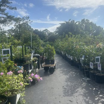 Jack and the Beanstalk Nursery - Nurseries & Gardening Near Me - West Palm Beach, Florida
