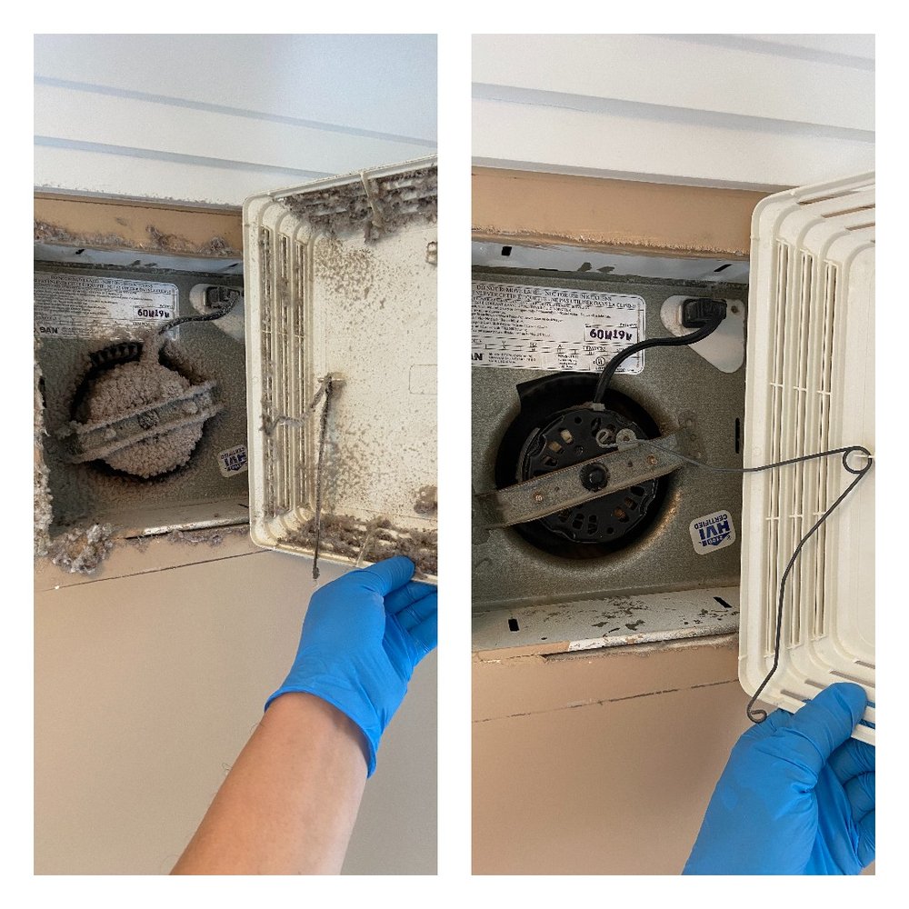 CLEAN AS NEW CLEANING & SANITIZING Halifax, Nova Scotia, Canada