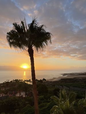 The Ritz-Carlton Tenerife, Abama by null