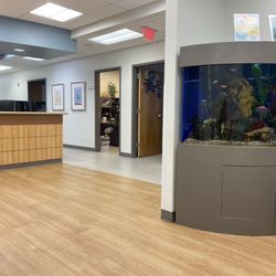 Piedmont Pediatrics - We've been coming here for 6 years and my kid is still obsessed with the fish tank lol