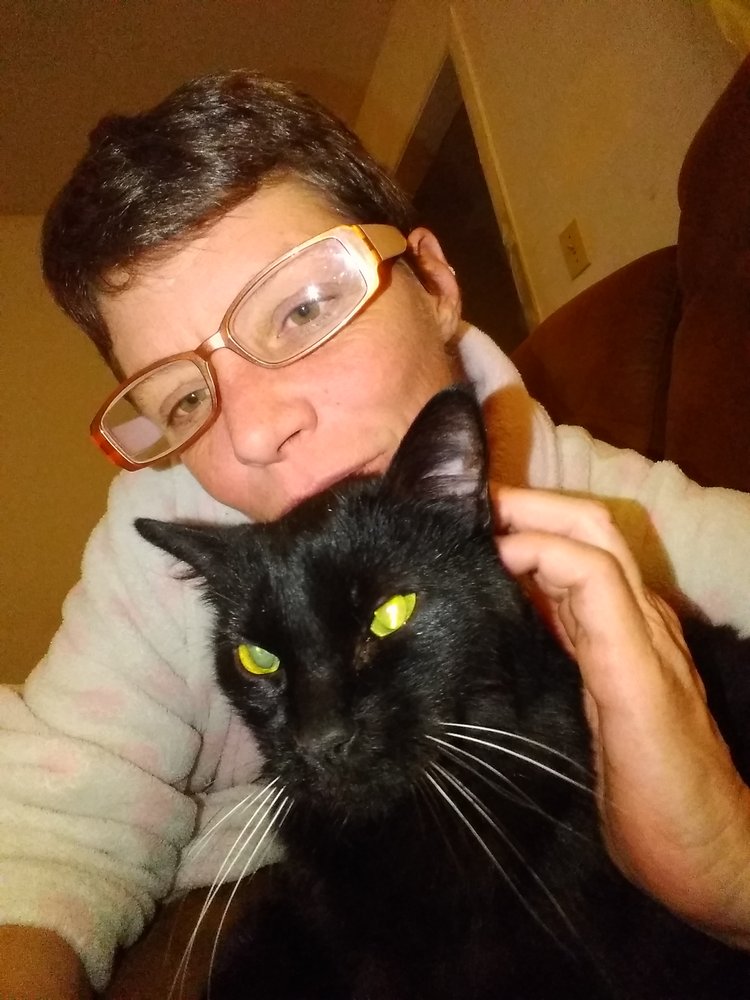 SOUTHSIDE VETERINARY CLINIC 2828 E 31st St S, Wichita, Kansas Veterinarians Phone Number