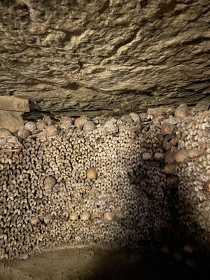Catacombs of Paris by null