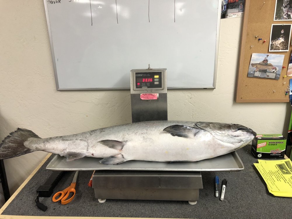 howies bait and tackle