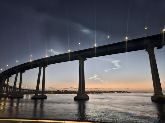 City Cruises by null