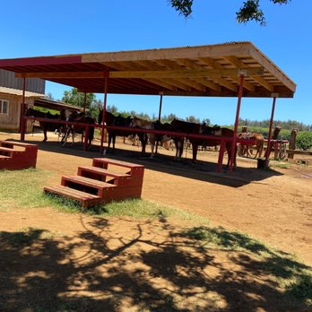Gunstock Ranch - The rides - Horseback Riding Near Me - Laie, Hawaii Gunstock Ranch - The rides - Horseback Riding Near Me - Laie, Hawaii