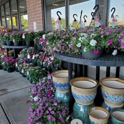 Kroger - Summer flowers