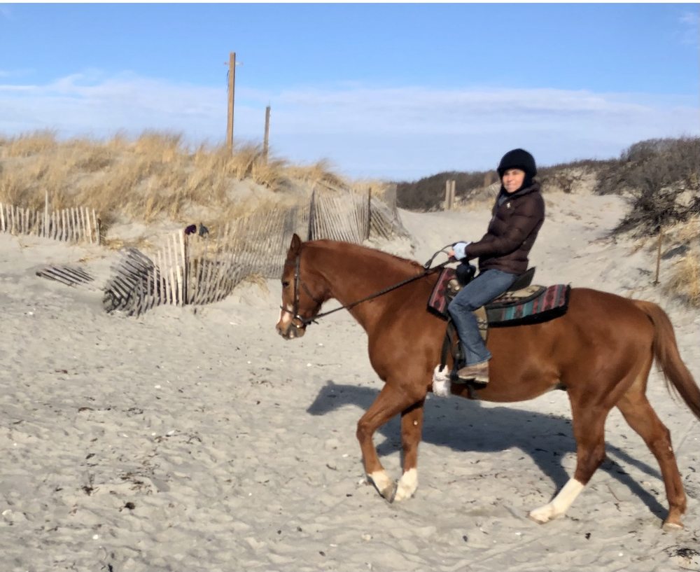 NEWPORT EQUESTRIAN ACADEMY Updated March 2024 63 Photos & 40