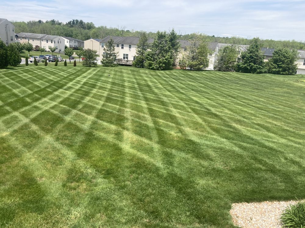 SHIPLEYS LAWN CARE & LANDSCAPE Updated August 2024 Dover