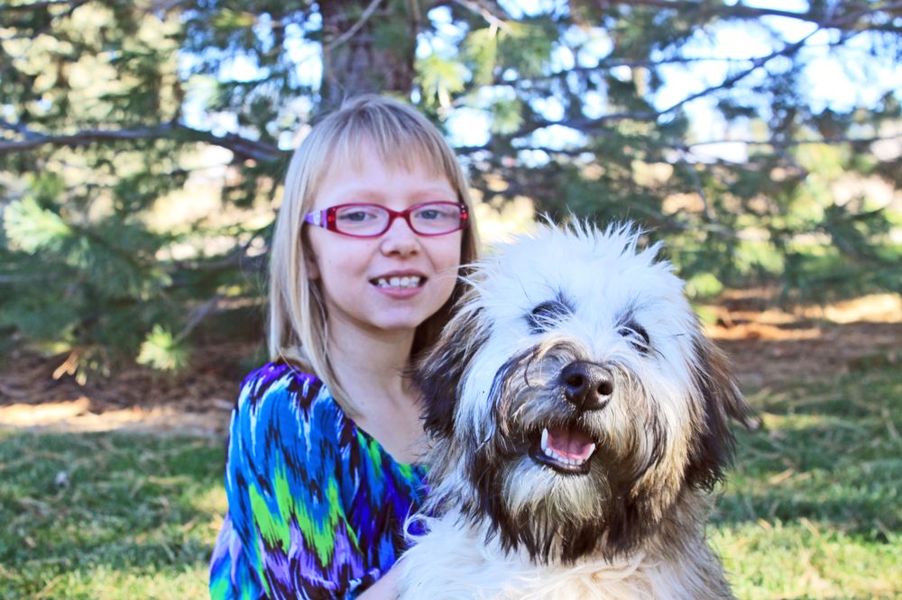 TRAIN PET DOG Updated July 2024 Request Consultation 18 Photos