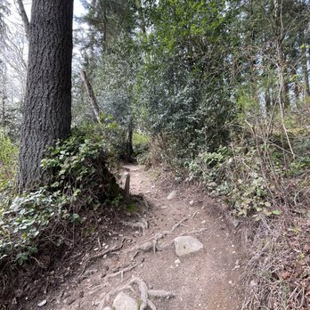 Burnaby Mountain Trail - Hiking Near Me - Burnaby, British Columbia