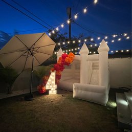 Dove bouncer Dove bouncer