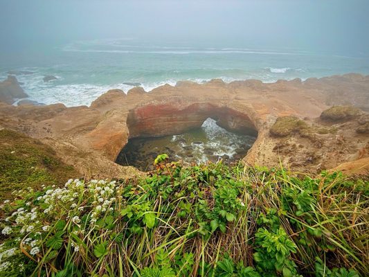 Devils Punchbowl State Natural Area by null