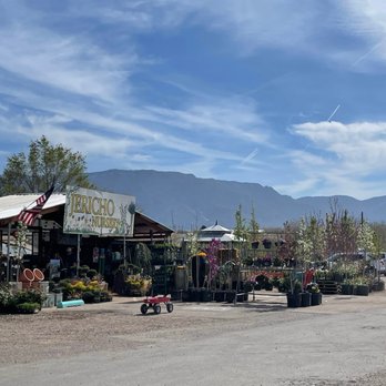 Jericho Nursery - Nurseries & Gardening Near Me - Albuquerque, New Mexico