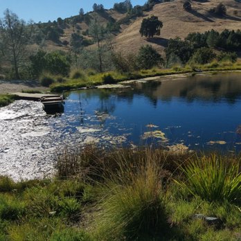 Eden Vale Inn - Little pond with rowboat - Bed & Breakfast Near Me - Placerville, California