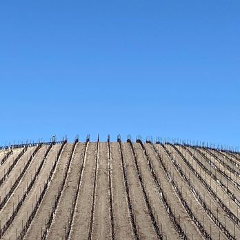 L'Aventure Winery - L'Aventure - Wineries Near Me - Paso Robles, California L'Aventure Winery - L'Aventure - Wineries Near Me - Paso Robles, California