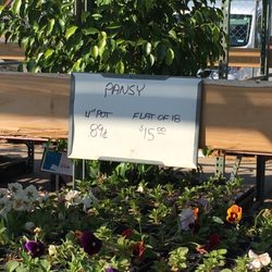 Plantus Nursery