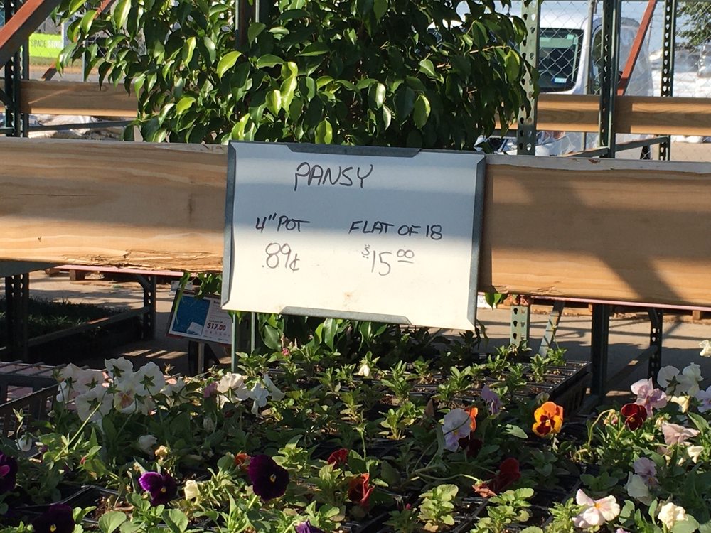 PLANTUS NURSERY Updated September 2024 11 Photos 7729 Camp Bowie