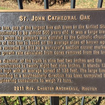 Cathedral of St John - Churches Near Me - Lafayette, Louisiana