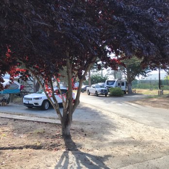Monterey Pines RV Park - Campsites - RV Parks Near Me - Monterey, California Monterey Pines RV Park - Campsites - RV Parks Near Me - Monterey, California