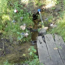 Amigo Park - Freshwater spring on way to campsites (you can drink it!)