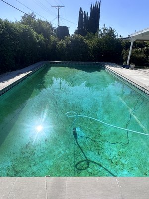 Lake Balboa  Pool Remodel• White Micro Stonecscapes Pebble - Lake Balboa • White micro Stonecscapes pebble