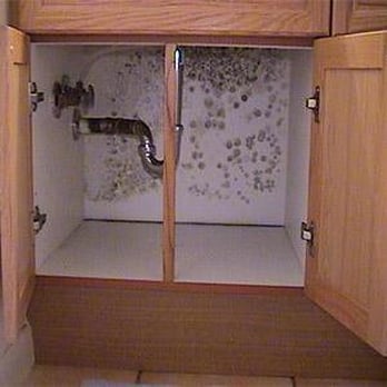 Restoration USA - Mold Beneath Sink - General Contractors Near Me - Pompano Beach, Florida