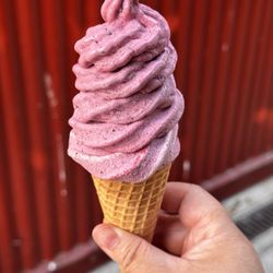 Blueberry kid's cone!
