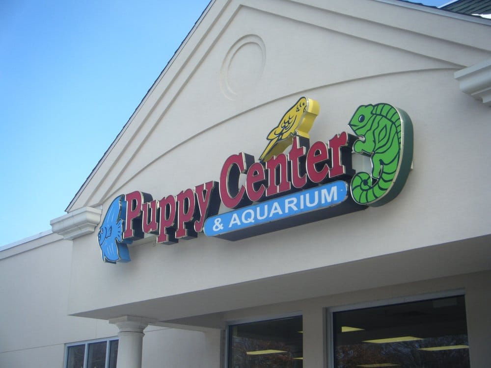 Pet Stores WEST HARTFORD PUPPY CENTER AND AQUARIUM CLOSED 12