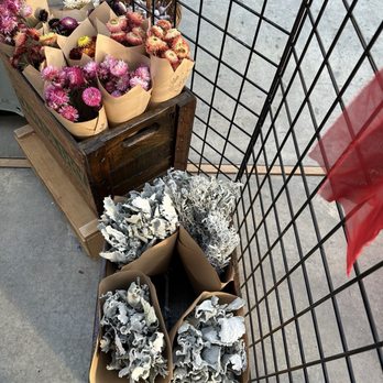 The Enjoy Centre - Got some dried foliage for decor... the gift that keeps on givin! - Nurseries & Gardening Near Me - St Albert, Alberta The Enjoy Centre - Got some dried foliage for decor... the gift that keeps on givin! - Nurseries & Gardening Near Me - St Albert, Alberta