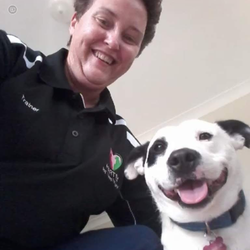 Dogtraining101 - Kathy - Dog Trainer for Dogtraining101