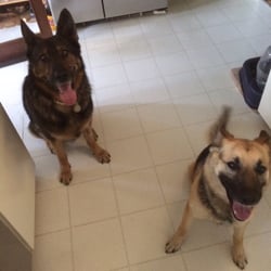 Hylton Gayle, MD - Anyone who saves people and pets are gifts to all of us this quality comes straight from the heart mindy Herrick