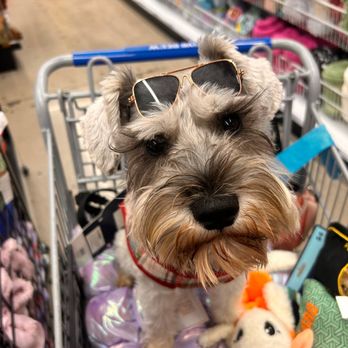 Hope Veterinary Care - Shopping @house.of.bruce. - Veterinarians Near Me - Huntington Beach, California