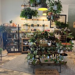 Juniper Tree Market - Plants!
