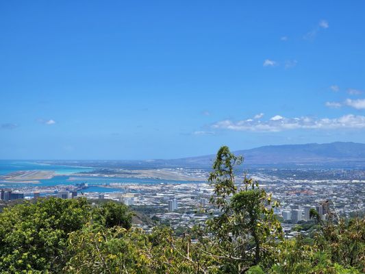 Puʻu ʻUalakaʻa State Wayside by null