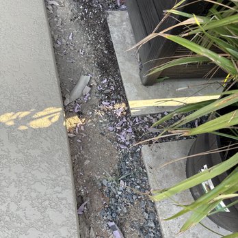 Trex Coating Design - Trash left - Refinishing Services Near Me - Houston, Texas Trex Coating Design - Trash left - Refinishing Services Near Me - Houston, Texas