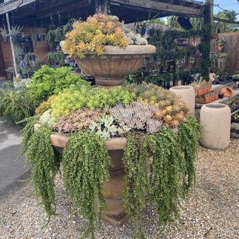 Succulent World - Amazing huge fountain Display at succulents world - Nurseries & Gardening Near Me - Homestead, Florida