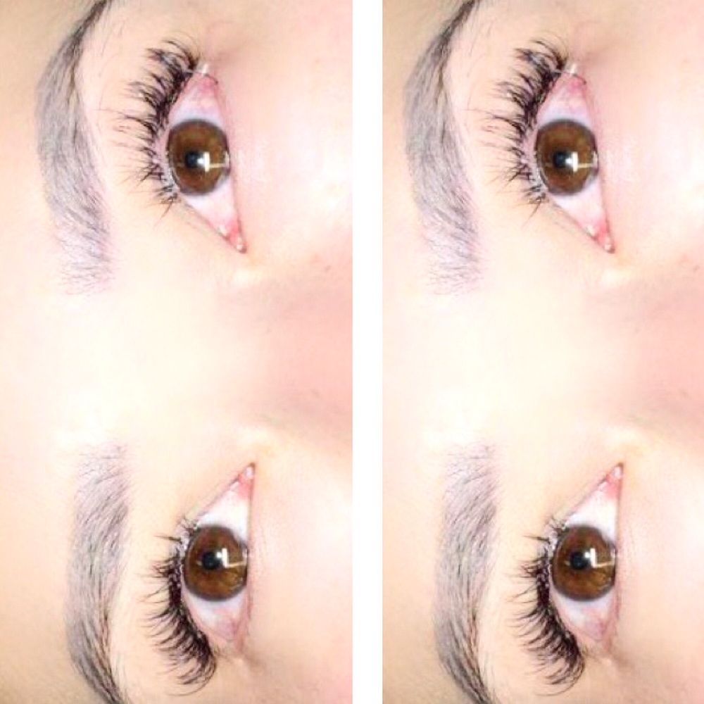 Lashed by XO Logo