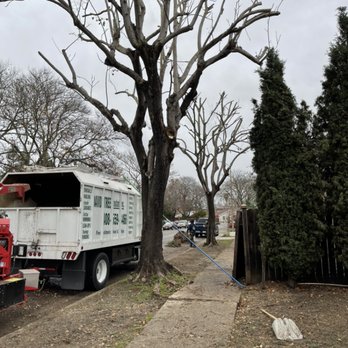 David Tree Consultant - Rainy day no worries David tree consultant is available in any condition - Tree Services Near Me