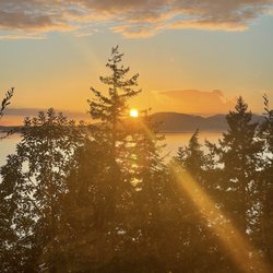 Chuckanut Cabins - View from the cabin