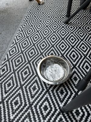 Periwinkle Kitchen by null