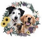 Wildflowers - pet boarding facility in Fargo, ND