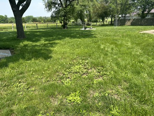 1 acre mow - Customer had a little over an acre. He needed mowed. Luckily we’re in the lawn care business, we were able to set him up with a great price and take care of his property. Loved cutting this yard, it’s huge and beautiful. 1 acre mow - Customer had a little over an acre. He needed mowed. Luckily we’re in the lawn care business, we were able to set him up with a great price and take care of his property. Loved cutting this yard, it’s huge and beautiful.