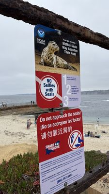 Children's Pool La Jolla by null