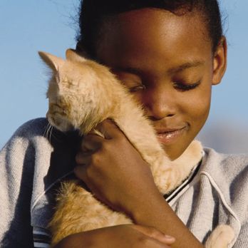 Faye Home and Pet - Home Cleaning Near Me Faye Home and Pet - Home Cleaning Near Me