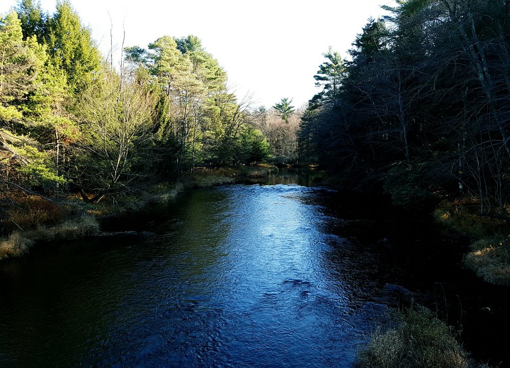 BLAKESLEE TOBYHANNA TOWNSHIP Updated June 2024 Hc 1, Blakeslee